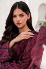 KARANDI 3PC PRINTED SHIRT WITH KARANDI PRINTED DUAPTTA AND TROUSER- 62 - Image 6