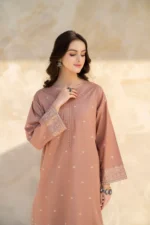 Dhanak-2pc Embroidered-99 - Image 5