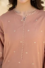 Dhanak-2pc Embroidered-99 - Image 4