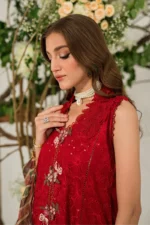 3PC Dhanak Chikankari Embroidered With Digital Printed Organza Dupatta-120 - Image 5