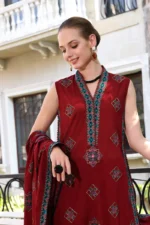 Dhanak 3PC Embroidered With Full Embroidered Shawl-74 - Image 3