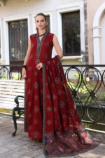 Dhanak 3PC Embroidered With Full Embroidered Shawl-74 - Image 2