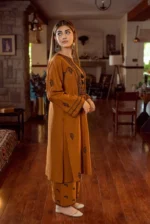 Dhanak-2pc Embroidered- 170 - Image 3