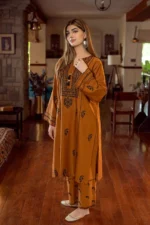Dhanak-2pc Embroidered- 170